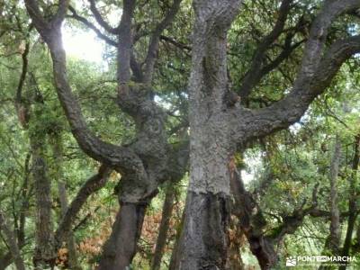 El Bierzo;Busmayor;León;senderista rutas en bici madrid rutas a pie granja de san ildefonso segovia